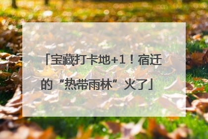 宝藏打卡地+1！宿迁的“热带雨林”火了