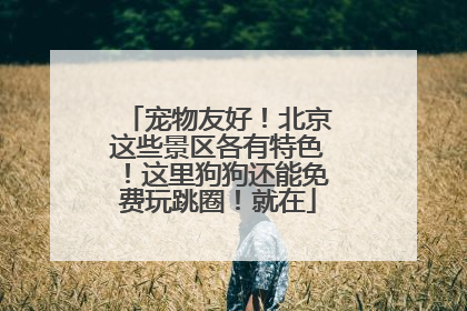 宠物友好！北京这些景区各有特色！这里狗狗还能免费玩跳圈！就在