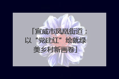 宣威市凤凰街道：以“党建红”绘就绿美乡村新画卷