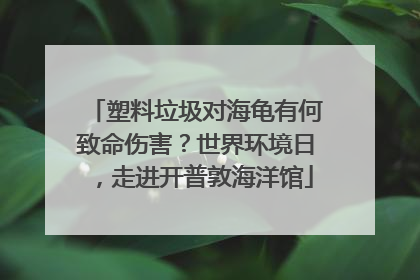 塑料垃圾对海龟有何致命伤害？世界环境日，走进开普敦海洋馆