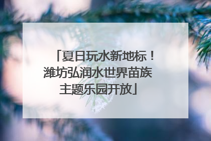 夏日玩水新地标！潍坊弘润水世界苗族主题乐园开放