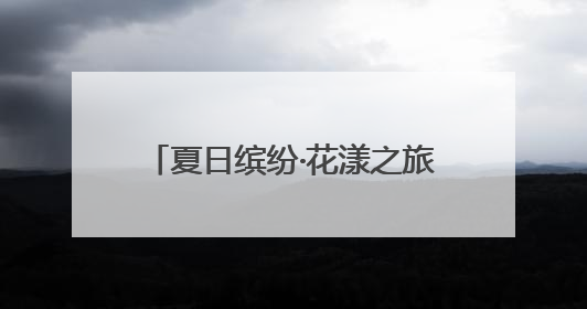 夏日缤纷·花漾之旅——溆浦县社会福利院组织长者开展“畅游薰衣草庄园 共享紫色浪漫”户外活动