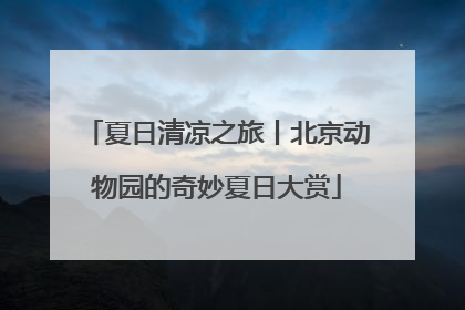 夏日清凉之旅丨北京动物园的奇妙夏日大赏