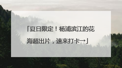 夏日限定！杨浦滨江的花海超出片，速来打卡→
