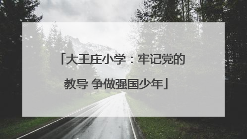 大王庄小学：牢记党的教导 争做强国少年