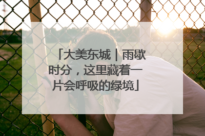 大美东城｜雨歇时分，这里藏着一片会呼吸的绿境