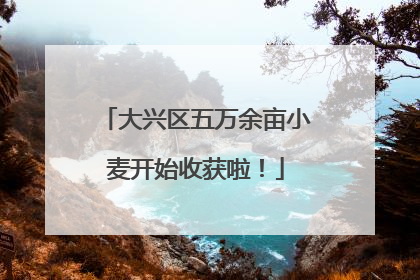 大兴区五万余亩小麦开始收获啦！