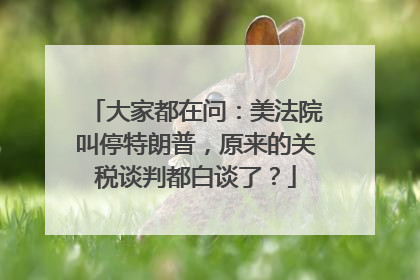 大家都在问：美法院叫停特朗普，原来的关税谈判都白谈了？