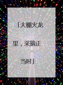 大棚火龙果，采摘正当时