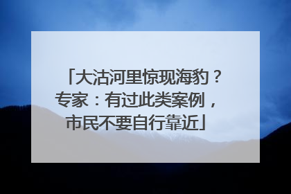 大沽河里惊现海豹？专家：有过此类案例，市民不要自行靠近
