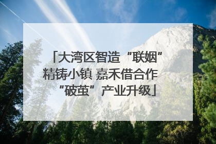 大湾区智造“联姻”精铸小镇 嘉禾借合作“破茧”产业升级