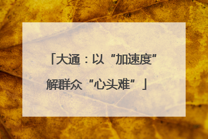 大通：以“加速度”解群众“心头难”