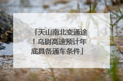 天山南北变通途！乌尉高速预计年底具备通车条件