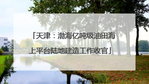 天津：渤海亿吨级油田海上平台陆地建造工作收官