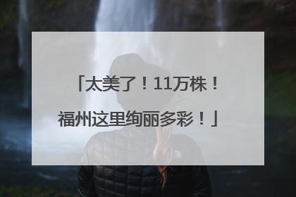 太美了！11万株！福州这里绚丽多彩！