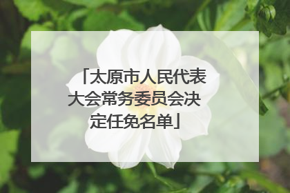 太原市人民代表大会常务委员会决定任免名单