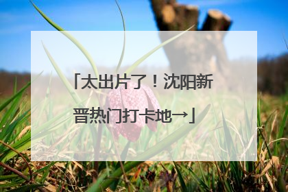 太出片了！沈阳新晋热门打卡地→