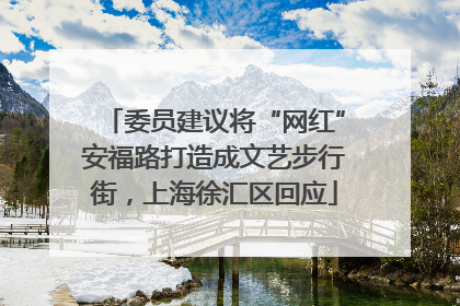 委员建议将“网红”安福路打造成文艺步行街，上海徐汇区回应