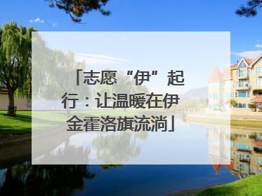 志愿“伊”起行：让温暖在伊金霍洛旗流淌