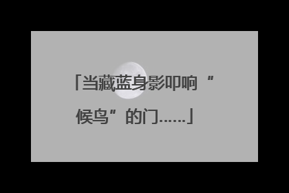 当藏蓝身影叩响“候鸟”的门……