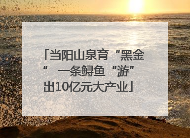 当阳山泉育“黑金” 一条鲟鱼“游”出10亿元大产业