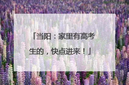 当阳：家里有高考生的，快点进来！