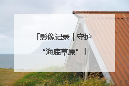 影像记录｜守护“海底草原”