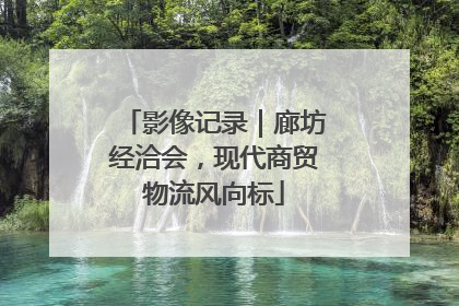 影像记录｜廊坊经洽会，现代商贸物流风向标