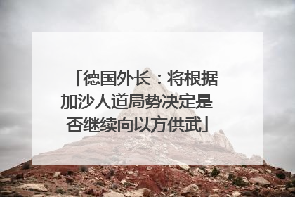 德国外长：将根据加沙人道局势决定是否继续向以方供武