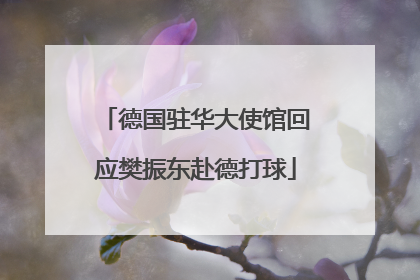 德国驻华大使馆回应樊振东赴德打球