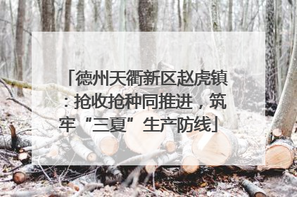 德州天衢新区赵虎镇：抢收抢种同推进，筑牢“三夏”生产防线