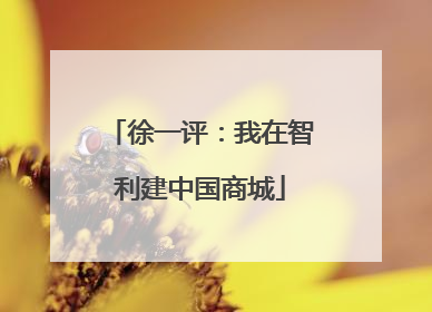 徐一评：我在智利建中国商城