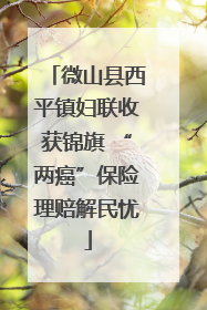 微山县西平镇妇联收获锦旗 “两癌”保险理赔解民忧