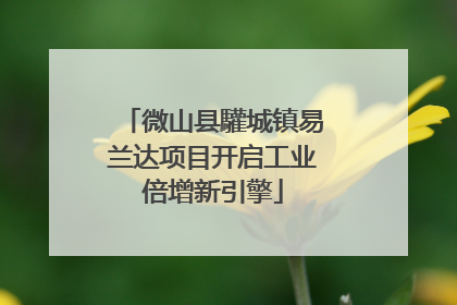 微山县驩城镇易兰达项目开启工业倍增新引擎