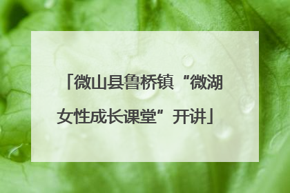微山县鲁桥镇“微湖女性成长课堂”开讲
