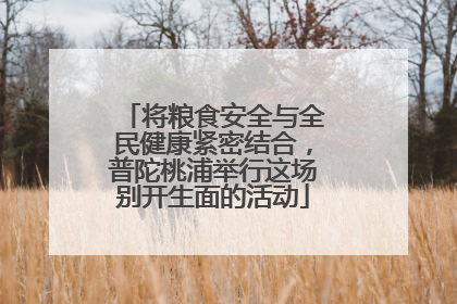 将粮食安全与全民健康紧密结合，普陀桃浦举行这场别开生面的活动
