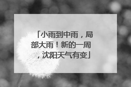 小雨到中雨，局部大雨！新的一周，沈阳天气有变