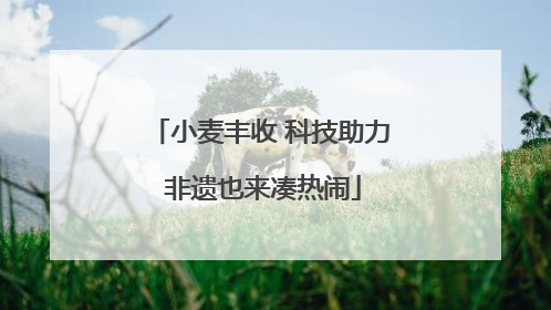小麦丰收 科技助力 非遗也来凑热闹
