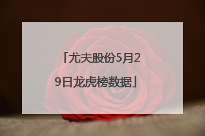 尤夫股份5月29日龙虎榜数据
