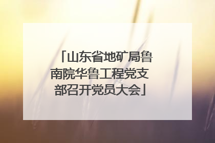 山东省地矿局鲁南院华鲁工程党支部召开党员大会