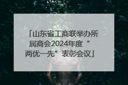 山东省工商联举办所属商会2024年度“两优一先”表彰会议