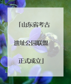 山东省考古遗址公园联盟正式成立