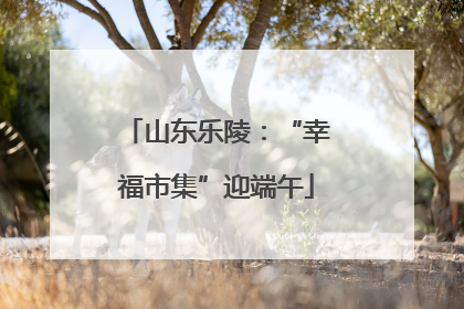 山东乐陵：“幸福市集”迎端午