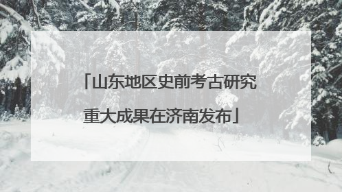 山东地区史前考古研究重大成果在济南发布