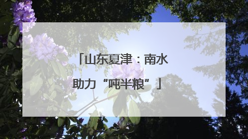 山东夏津：南水助力“吨半粮”