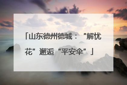 山东德州德城：“解忧花”邂逅“平安伞”