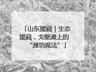 山东援藏｜生态援藏，戈壁滩上的“潍坊魔法”