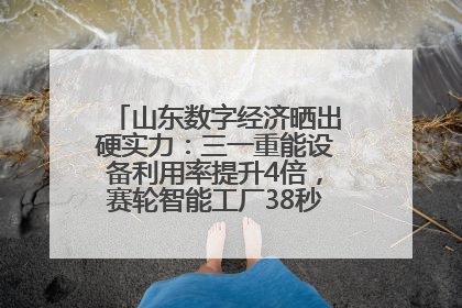 山东数字经济晒出硬实力：三一重能设备利用率提升4倍，赛轮智能工厂38秒生产一条轮胎