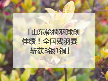 山东轮椅羽球创佳绩！全国残羽赛斩获3银1铜