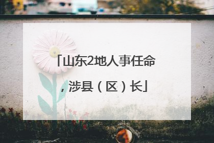 山东2地人事任命，涉县（区）长